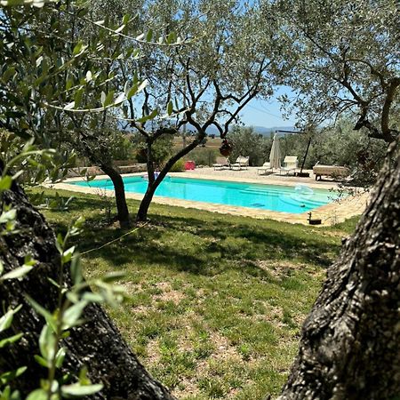 Agriturismo Uliveto Benedetti Spoleto Eksteriør billede