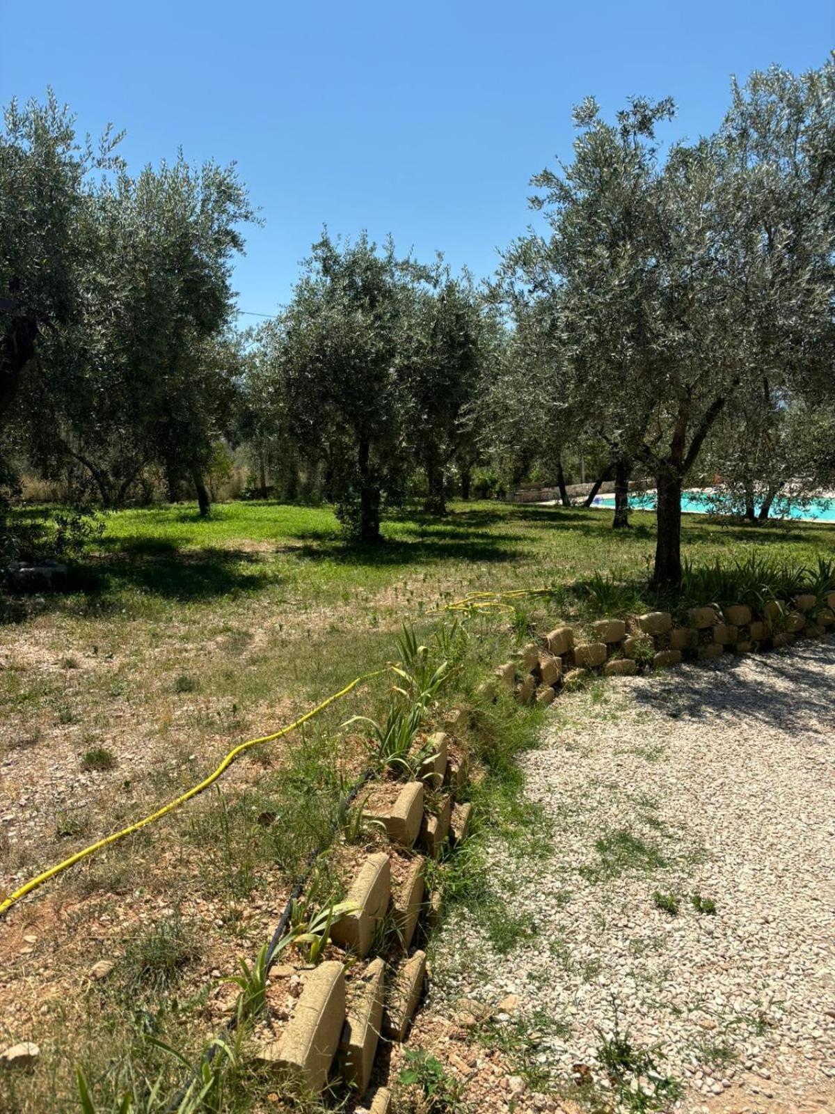 Agriturismo Uliveto Benedetti Spoleto Eksteriør billede